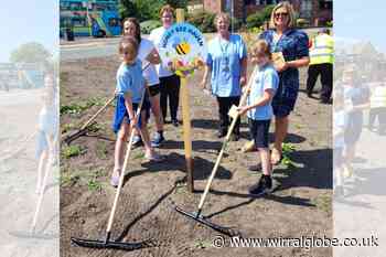 Wildflower meadow for  Marine Lake and Wellbeing Centre
