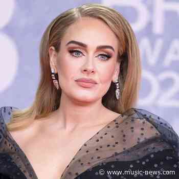 Adele calls on fans to 'stop throwing' objects at performers