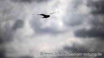 Gewitter und heftiger Wind am Mittwoch