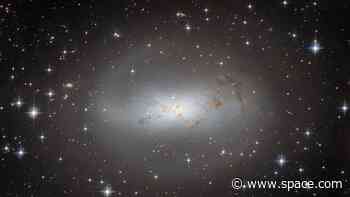 Hubble telescope checks on the Milky Way galaxy's lonely neighbor (photo)