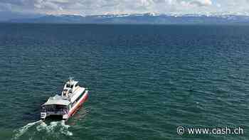 EU-Zuwanderung gemäss Bericht «essenziell» für die Schweiz