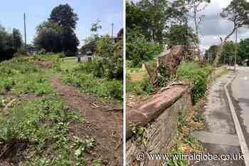 Couple living in 'tip' after developer chops trees outside Hooton home