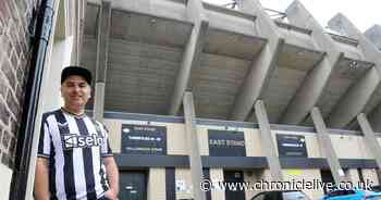 Newcastle's 'transformational' stadium wish backed by developer next door as club undergo review