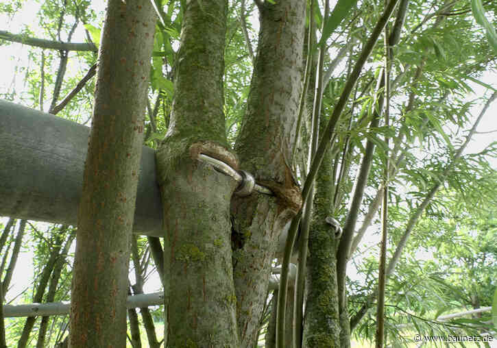 Lebenswerte Koexistenzen schaffen
 - Ausstellung in Stuttgart
