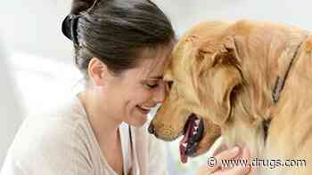 The Vet Says Your Dog Has Cushing's Disease: What Is It?