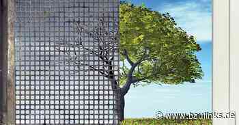 Austausch alter Stahl-Kellerfenster gegen PVC-Fenster von Hain