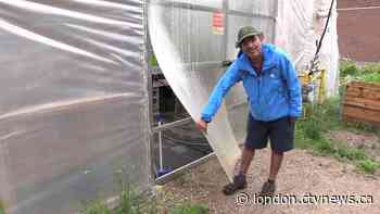 Two bizarre break ins at London Food Bank