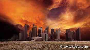 If humans went extinct, what would the Earth look like one year later?