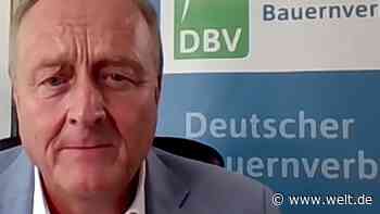 „Marktpreise können am Tag um 20 Prozent steigen“