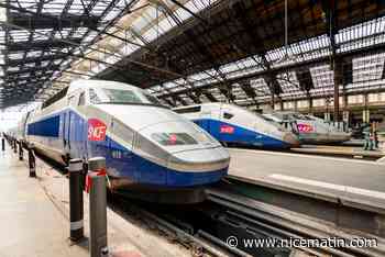 Chat écrasé par un TGV: la SNCF condamnée à une amende de 1.000 euros