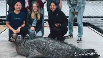 Warnemünder Lions sind Gastgeber für Jugendliche aus zehn Nationen