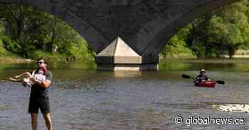 ‘Multi-day’ heat wave alert issued for much of Ontario