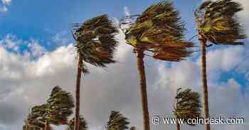 Bitcoin, Ether Supply on Exchanges Fell in June: Goldman Sachs