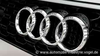 Staatsanwalt fordert Revision des Hatz-Urteils