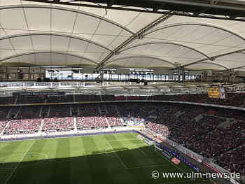 Favoriten der Sportwetten-Anbieter: Fussball-Infos zur Heim-EM 2024