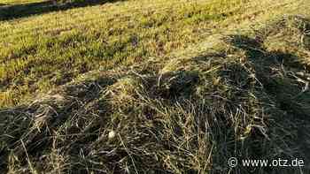 Kostenfreies Heu auf der Trüperwiese in Jena