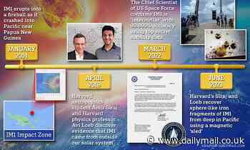 EXCL: Harvard scientists say UFO that crashed into ocean in 2014 appears 'artificial in origin'