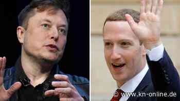 Elon Musk gegen Mark Zuckerberg: Ein Kampf mit zwei Verlierern