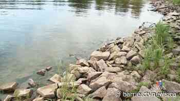 Health unit warns of blue-green algae blooms in Midland