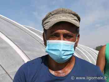 Saman Abbas, il governo pakistano può bloccare l'estradizione del padre: ecco come