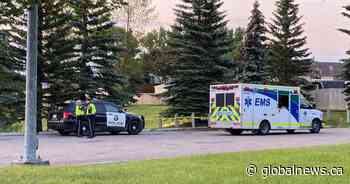 Woman found dead in southeast Calgary park