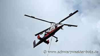 Spektakulärer Anblick in Calw: Baumstämme fliegen durch die Luft