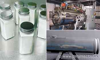 'Water cremations' are rising in popularity across America as an eco-friendly and cheap way to go