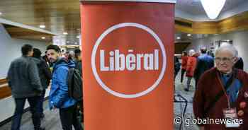 Adil Shamji officially enters race to become Ontario Liberal leader