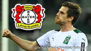Medien: Hofmann wechselt von Gladbach nach Leverkusen