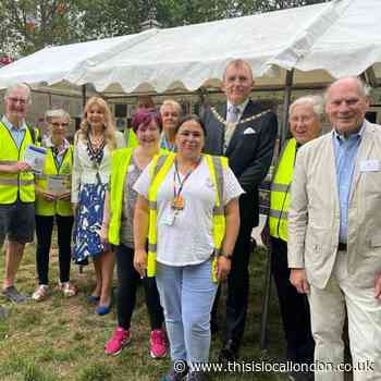 Ziggy Stardust Family Fun Day -Beckenham Green - David Bowie
