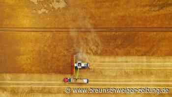 Bauern befürchten Ertragseinbußen