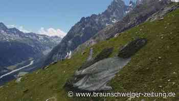 Bild am Fuß des Mont Blanc: Eine Einladung die Natur zu bewundern