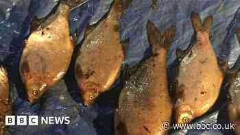 Thames Water fined £3.3m over river sewage