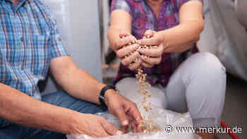 Experten uneinig über Änderung von Habecks-Heizgesetz: Wie grün und zukunftssicher sind Pellets wirklich?