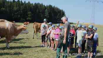 „Wer will einen Kuhfladen anfassen“: Schulkinder aus Nußdorf erleben Landwirtschaft hautnah