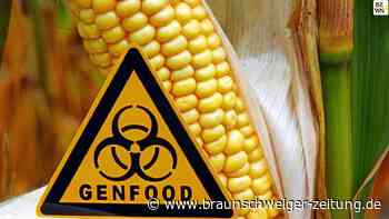 EU-Plan: Gentechnik im Lebensmittel oft nicht mehr erkennbar