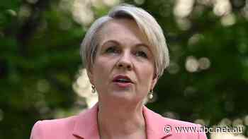 Tanya Plibersek says 'course correction' required for off-track Murray-Darling Basin Plan