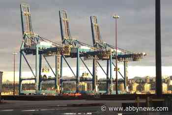 Damage ‘has already happened’ from dock workers’ strike, board of trade says