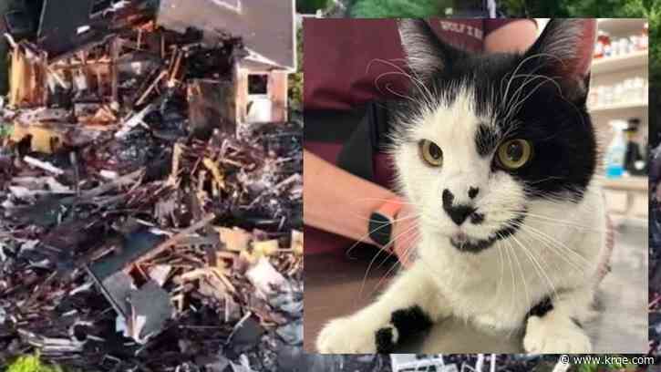 Cat named Lucky escapes Connecticut house explosion that hospitalized homeowner