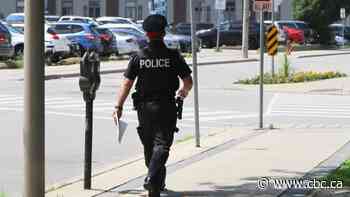 New 'core patrol' increases Hamilton police presence downtown following complaints