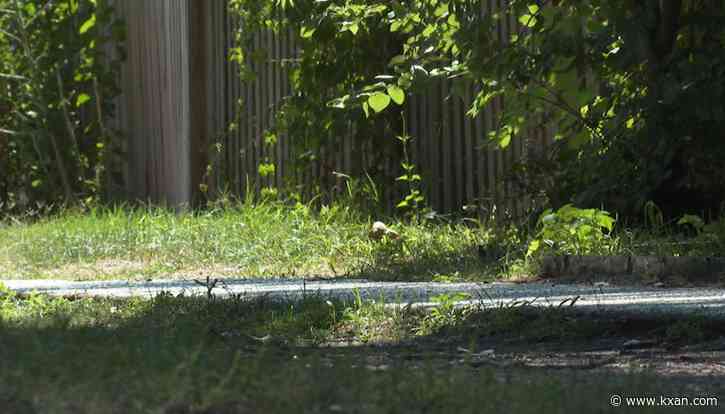 Security cameras up at some Austin parks, trails as part of pilot program to curb break-ins