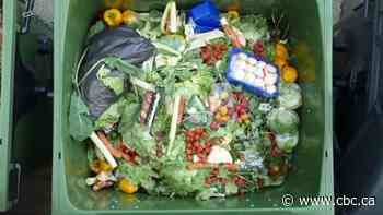 Ottawa urged to look into best-before date system to reduce grocery waste
