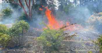 RCMP arrest man accused of ‘deliberately’ setting string of Nanaimo brush fires
