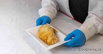 Ontario researchers say new packaging tray can warn of food contamination