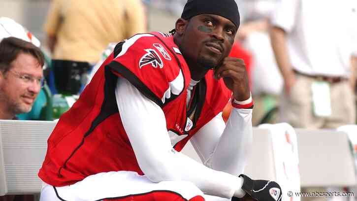 Mike Vick wishes he would have listened to the one person who warned him about dogfighting