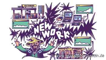 Harvard-Fallstudie: Was bei New Work alles schiefgehen kann