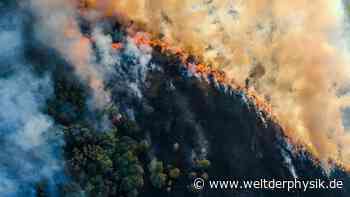 Waldbrand im Wassertank