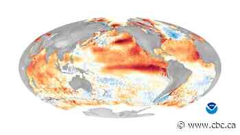 El Niño is back. Here's what it means for Canada