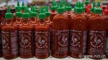 120 Dollar für eine Flasche Chili-Sauce: Engpässe treiben die Preise für Sriracha in die Höhe