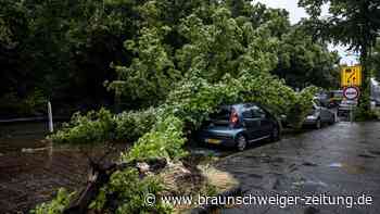Gewitter und Orkan im Norden erwartet